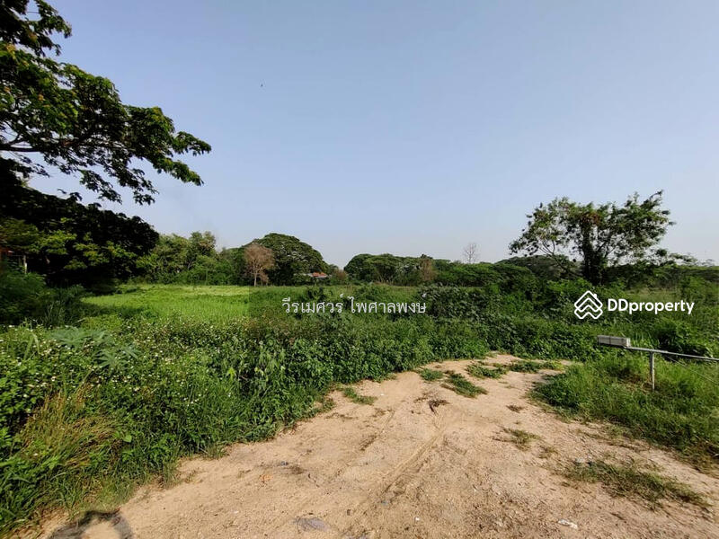 ขาย ที่ดิน อำเภอเมืองเชียงใหม่ ใกล้สนามบิน 39-2-13 ไร่ เหมาะทำหมู่บ้านจัดสรร, Chiang Mai, ทางไปเชียงใหม่-หางดง, Pa Daet, Muang Chiang Mai, Chiang Mai, , 63,252 sqm, Land For Sale, by TopLands of Thailand, 10134731 - ขายถูก! ที่ดิน อำเภอเมืองเชียงใหม่—ใกล้สนามบิน (ใกล้ศูนย์การค้า Makro – HomePro – BigC – Lotus’s ใน - DDproperty.com