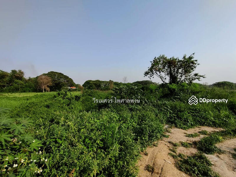 ขาย ที่ดิน อำเภอเมืองเชียงใหม่ ใกล้สนามบิน 39-2-13 ไร่ เหมาะทำหมู่บ้านจัดสรร, Chiang Mai, ทางไปเชียงใหม่-หางดง, Pa Daet, Muang Chiang Mai, Chiang Mai, , 63,252 sqm, Land For Sale, by TopLands of Thailand, 10134731 - ขายถูก! ที่ดิน อำเภอเมืองเชียงใหม่—ใกล้สนามบิน (ใกล้ศูนย์การค้า Makro – HomePro – BigC – Lotus’s ใน - DDproperty.com