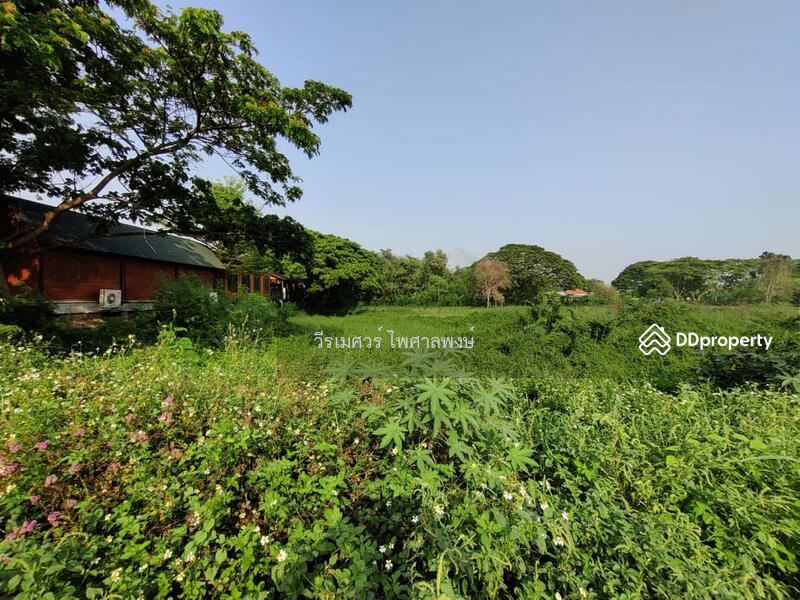 ขาย ที่ดิน อำเภอเมืองเชียงใหม่ ใกล้สนามบิน 39-2-13 ไร่ เหมาะทำหมู่บ้านจัดสรร, เชียงใหม่, ทางไปเชียงใหม่-หางดง, ป่าแดด, เมืองเชียงใหม่, เชียงใหม่, 63,252 ตร.ม., ที่ดิน ขาย, โดย TopLands of Thailand, 10134731 - ขายถูก! ที่ดิน อำเภอเมืองเชียงใหม่—ใกล้สนามบิน (ใกล้ศูนย์การค้า Makro – HomePro – BigC – Lotus’s  ใน - DDproperty.com