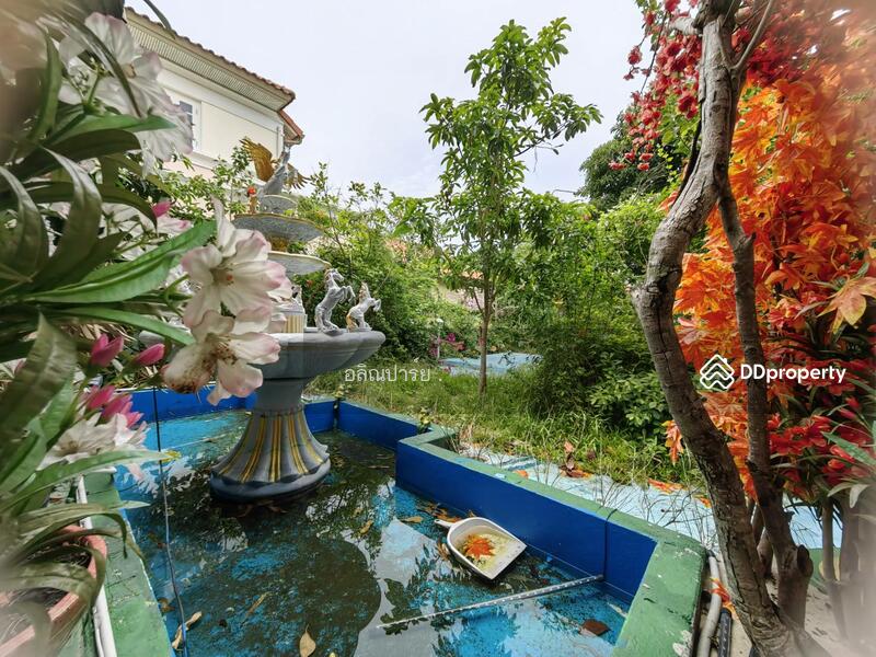 บ้านเดี่ยว, Bangkok, ราชพฤกษ์, Bang Ra Mat, Taling Chan, Bangkok, 3 Bedrooms, 250 sqm, Single Detached House For Sale, by ไอรินทร์ อัครชัยธนรักษ์, 10135362 - DDproperty.com