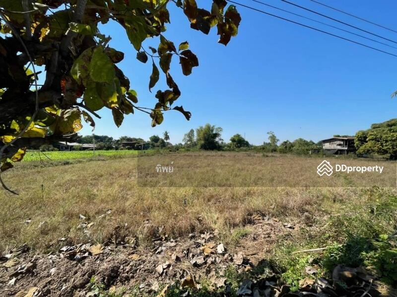 ขาย - ที่ดิน พิษณุโลก, พิษณุโลก