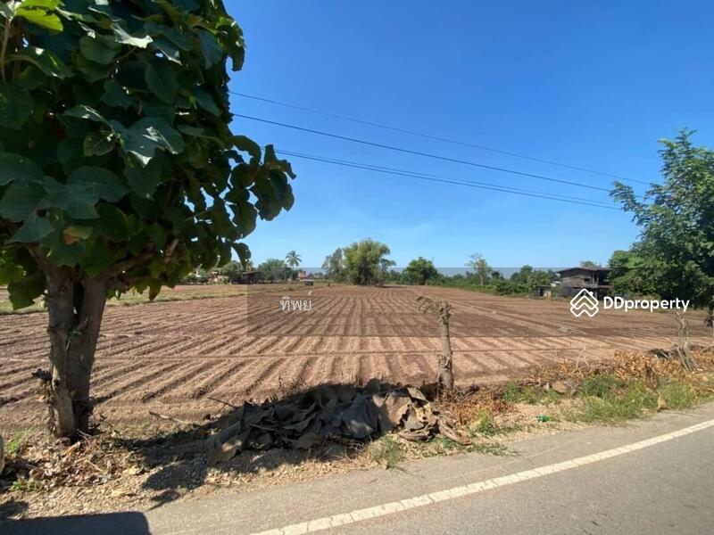 ขาย - ที่ดิน พิษณุโลก, พิษณุโลก