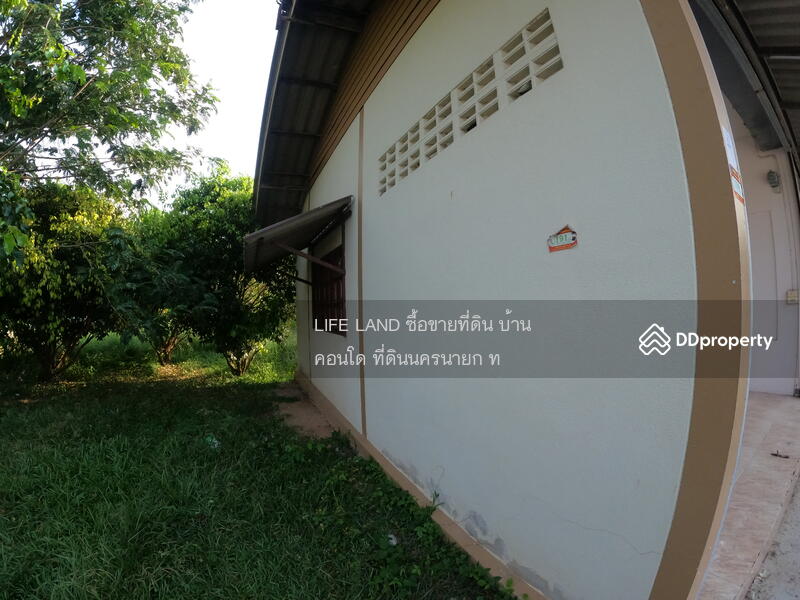 ขาย - ขายบ้านสวนมะยงชิด พร้อมทำเลค้าขาย บ้านนา นครนายก, นครนายก