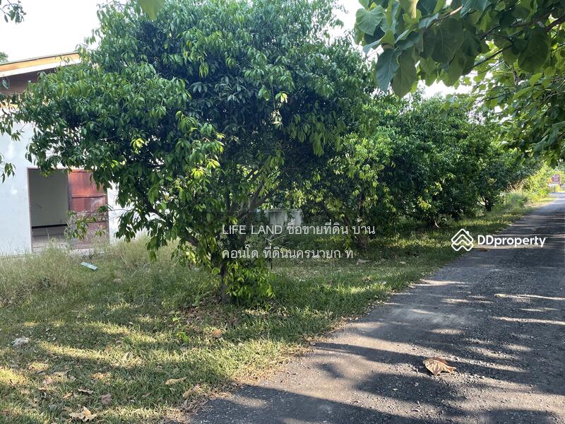 ขาย - ขายบ้านสวนมะยงชิด พร้อมทำเลค้าขาย บ้านนา นครนายก, นครนายก