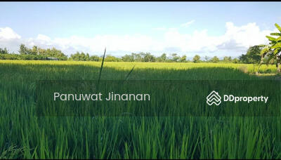 ขาย - ใกล้เทศบาลแม่นะ, เชียงใหม่
