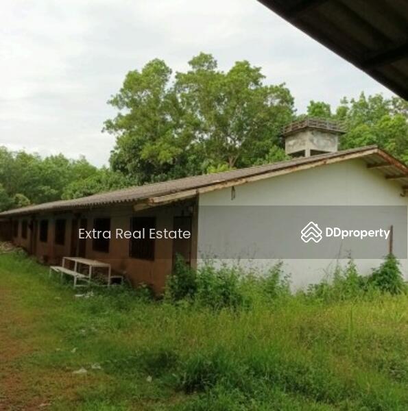 ขาย - โรงงานสงขลา, สงขลา