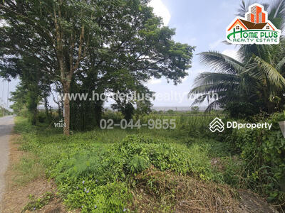 ขาย - ที่ดินตำบลคลองสิบสอง หนองจอก ใกล้วัดแสนเกษม, กรุงเทพ
