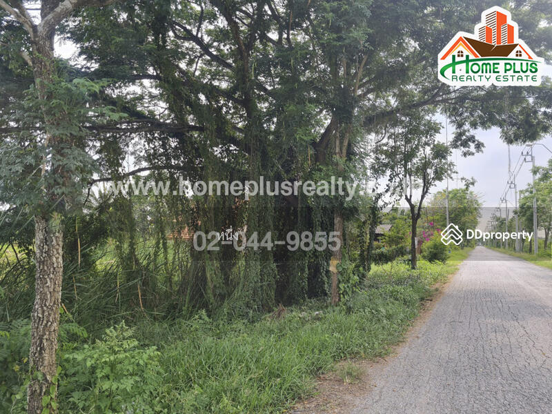 ที่ดินตำบลคลองสิบสอง หนองจอก ใกล้วัดแสนเกษม, กรุงเทพ, คลองสิบสอง, หนองจอก, กรุงเทพ, 440 ตร.ม., ที่ดิน ขาย, โดย หนึ่ง, 10187489 - DDproperty.com