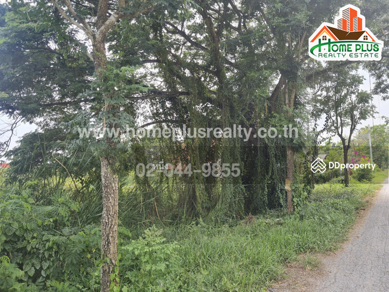 ที่ดินตำบลคลองสิบสอง หนองจอก ใกล้วัดแสนเกษม, กรุงเทพ, คลองสิบสอง, หนองจอก, กรุงเทพ, 440 ตร.ม., ที่ดิน ขาย, โดย หนึ่ง, 10187489 - DDproperty.com