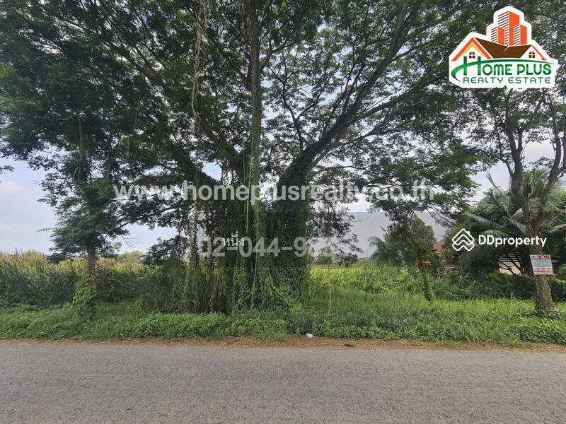 ที่ดินตำบลคลองสิบสอง หนองจอก ใกล้วัดแสนเกษม, กรุงเทพ, คลองสิบสอง, หนองจอก, กรุงเทพ, 440 ตร.ม., ที่ดิน ขาย, โดย หนึ่ง, 10187489 - DDproperty.com