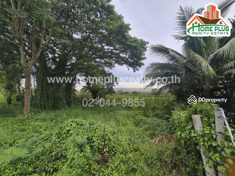 ที่ดินตำบลคลองสิบสอง หนองจอก ใกล้วัดแสนเกษม, Bangkok, Khlong Sibsong, Nong Chok, Bangkok, , 440 sqm, Land For Sale, by หนึ่ง, 10187489 - DDproperty.com