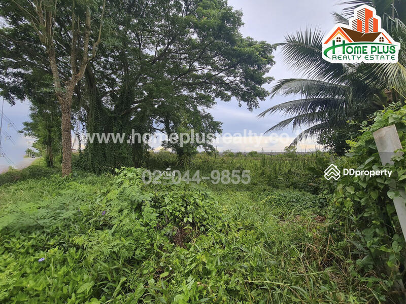 ที่ดินตำบลคลองสิบสอง หนองจอก ใกล้วัดแสนเกษม, กรุงเทพ, คลองสิบสอง, หนองจอก, กรุงเทพ, 440 ตร.ม., ที่ดิน ขาย, โดย หนึ่ง, 10187489 - DDproperty.com