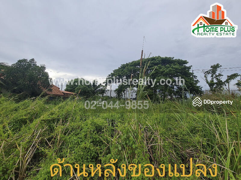 ที่ดินตำบลคลองสิบสอง หนองจอก ใกล้วัดแสนเกษม, กรุงเทพ, คลองสิบสอง, หนองจอก, กรุงเทพ, 440 ตร.ม., ที่ดิน ขาย, โดย หนึ่ง, 10187489 - DDproperty.com
