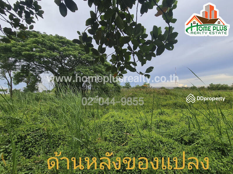 ที่ดินตำบลคลองสิบสอง หนองจอก ใกล้วัดแสนเกษม, Bangkok, Khlong Sibsong, Nong Chok, Bangkok, , 440 sqm, Land For Sale, by หนึ่ง, 10187489 - DDproperty.com