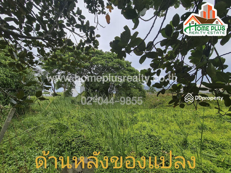 ที่ดินตำบลคลองสิบสอง หนองจอก ใกล้วัดแสนเกษม, Bangkok, Khlong Sibsong, Nong Chok, Bangkok, , 440 sqm, Land For Sale, by หนึ่ง, 10187489 - DDproperty.com