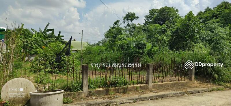พื้นที่ด้านหลังติดถนนซอย