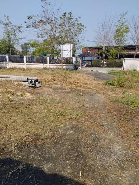 หมู่บ้านวนาสิริ พาร์ควิว ลาดหลุมแก้ว, ปทุมธานี, คลองพระอุดม, ลาดหลุมแก้ว, ปทุมธานี, 492 ตร.ม., ที่ดิน ขาย, โดย อดิเทพ แสนเมือง, 10194302 - DDproperty.com