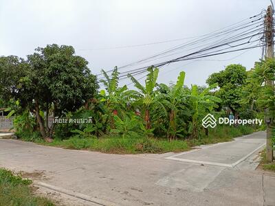 ขาย - ขายที่ดิน84ตร.วา ใกล้ศุภาลัยหนองมนทถนนสุขุมวิทชลบุรี, ชลบุรี