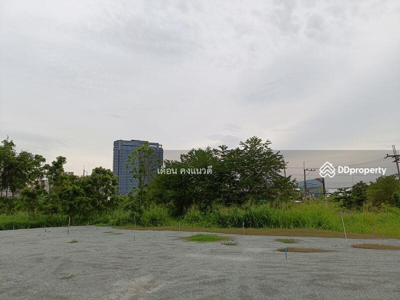 Land 84sq.wah for sale near highway police station Sukhumvit road chonburi, Chon Buri (Pattaya), 84 เทศบาลพัฒนา1, Mhueng, Muang Chon Buri, Chon Buri (Pattaya), , 336 sqm, Land For Sale, by แสงเดือน คงแนวดี, 10198281 - DDproperty.com