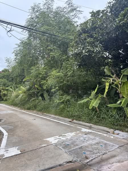 Land 84sq.wah for sale near highway police station Sukhumvit road chonburi, Chon Buri (Pattaya), 84 เทศบาลพัฒนา1, Mhueng, Muang Chon Buri, Chon Buri (Pattaya), , 336 sqm, Land For Sale, by แสงเดือน คงแนวดี, 10198281 - ด้านข้างทึ่ดิน - DDproperty.com