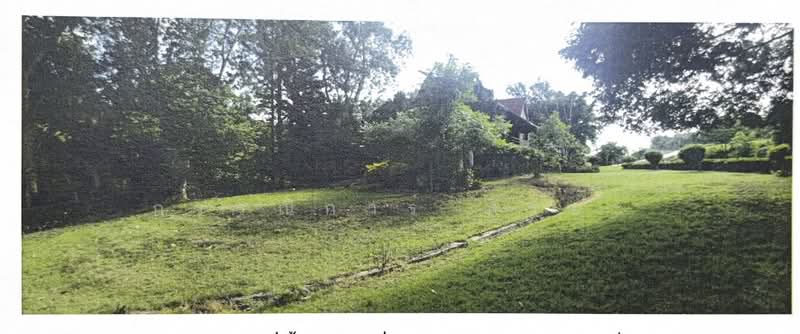 ให้เช่าที่ดินระยะยาว, กรุงเทพ, 321 Phitsanulok–Phetchabun Road (Highway 12), แสนแสบ, มีนบุรี, กรุงเทพ, 8,980 ตร.ม., ที่ดิน ให้เช่า, โดย กรรณิการ์ สุริยะ, 10201927 - DDproperty.com