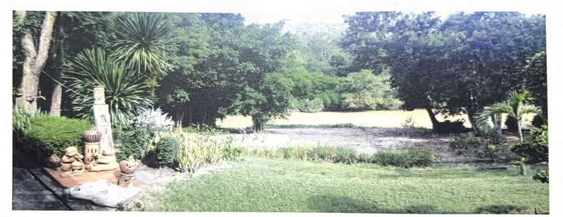 ให้เช่าที่ดินระยะยาว, กรุงเทพ, 321 Phitsanulok–Phetchabun Road (Highway 12), แสนแสบ, มีนบุรี, กรุงเทพ, 8,980 ตร.ม., ที่ดิน ให้เช่า, โดย กรรณิการ์ สุริยะ, 10201927 - DDproperty.com