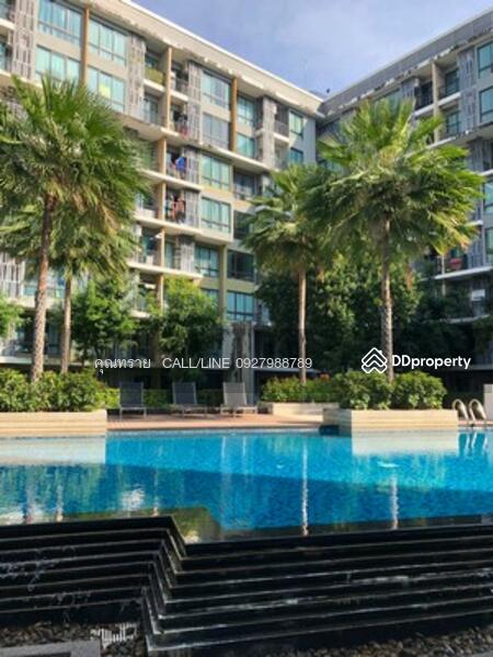 iCondo Sukhumvit 103 : ไอคอนโด สุขุมวิท 103, กรุงเทพ, ซอยอุดมสุข 58 ถนนสุขุมวิท 103, บางนา, บางนา, กรุงเทพ, 49 ตร.ม., คอนโด ให้เช่า, โดย DIFFER ESTATE CO., LTD, 10203331 - DDproperty.com