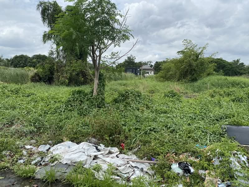 ขายที่ หลักหก ปทุมธานี ฝั่งตรงข้ามดอนเมือง ถนน local road เข้าซอยศาลเจ้าสมบุญ 139 ตารางวา 2.5 ล้าน, ปทุมธานี, หลักหก, เมืองปทุมธานี, ปทุมธานี, 556 ตร.ม., ที่ดิน ขาย, โดย Uraiwan V., 10204041 - DDproperty.com