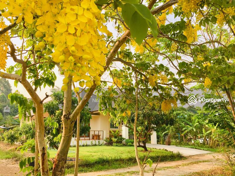 บ้านเช่าพี่ดำแม่เหียะ, เชียงใหม่, แม่เหียะ, เมืองเชียงใหม่, เชียงใหม่, 120 ตร.ม., บ้านเดี่ยว ให้เช่า, โดย ์Noi, 10220938 - DDproperty.com