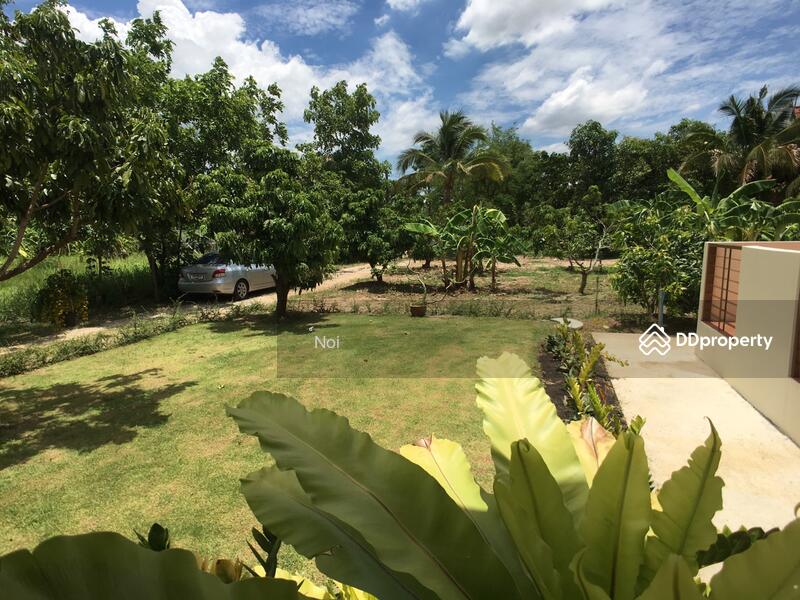 บ้านเช่าพี่ดำแม่เหียะ, เชียงใหม่, แม่เหียะ, เมืองเชียงใหม่, เชียงใหม่, 120 ตร.ม., บ้านเดี่ยว ให้เช่า, โดย ์Noi, 10220938 - DDproperty.com