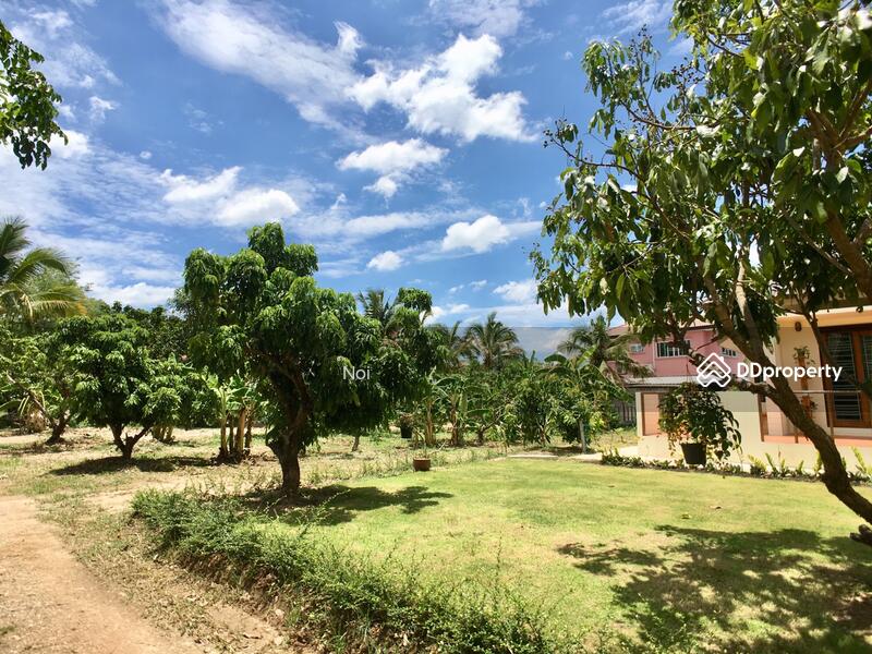 บ้านเช่าพี่ดำแม่เหียะ, เชียงใหม่, แม่เหียะ, เมืองเชียงใหม่, เชียงใหม่, 120 ตร.ม., บ้านเดี่ยว ให้เช่า, โดย ์Noi, 10220938 - DDproperty.com