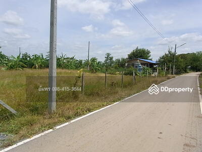 ขาย - ซอยทางเข้าโรงเรียนบ้านหัวถนน อ. ดอนตุม จ.นครปฐม (ฟาร์มกินดีอยู่ดี ณ.นครปฐม), นครปฐม