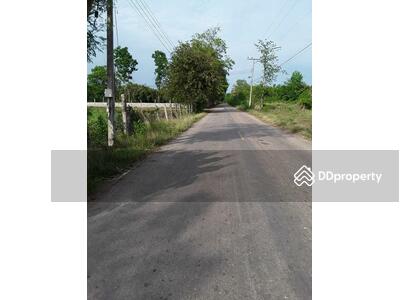 ขาย - ป่าไร่ สระแก้ว, สระแก้ว