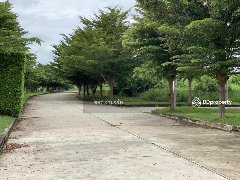 ขาย - กรีนวิว-สีคิ้ว ที่ดินในเมืองวิวนาสวยมาก, นครราชสีมา