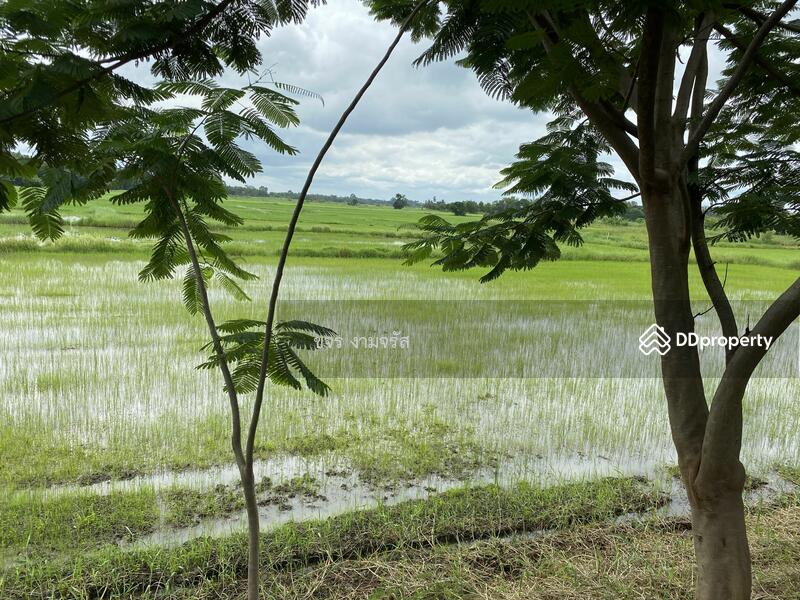 ขาย - กรีนวิว-สีคิ้ว ที่ดินในเมืองวิวนาสวยมาก, นครราชสีมา