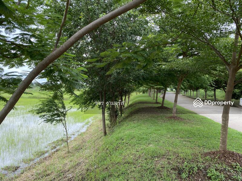 ขาย - กรีนวิว-สีคิ้ว ที่ดินในเมืองวิวนาสวยมาก, นครราชสีมา