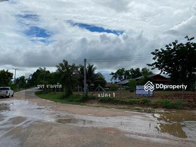ขาย - ถนนหักน้อย ด่านขุนทด, นครราชสีมา