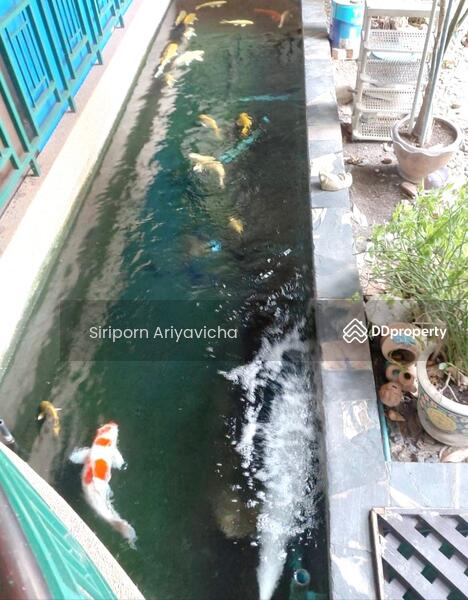 หมู่บ้านร่มรื่น, กรุงเทพ, ตลิ่งชัน, ตลิ่งชัน, กรุงเทพ, 750 ตร.ม., บ้านเดี่ยว ขาย, โดย Siriporn Ariyavicha, 10230063 - DDproperty.com