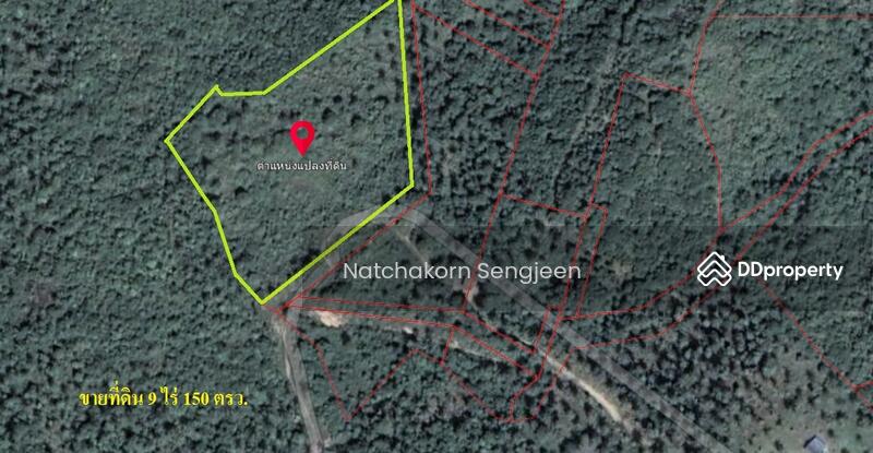 For Sale - Land for sale 9 rai 150 sq m. Sea view, Ban Tai , Koh Phangan , Surat Thani ., Surat Thani