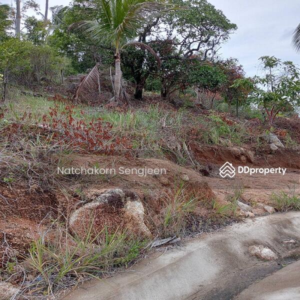 For Sale - Land for sale 9 rai 150 sq m. Sea view, Ban Tai , Koh Phangan , Surat Thani ., Surat Thani