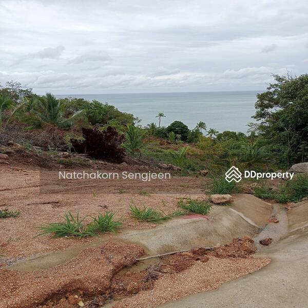 For Sale - Land for sale 9 rai 150 sq m. Sea view, Ban Tai , Koh Phangan , Surat Thani ., Surat Thani