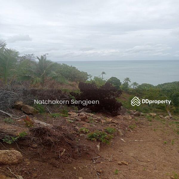 For Sale - Land for sale 9 rai 150 sq m. Sea view, Ban Tai , Koh Phangan , Surat Thani ., Surat Thani