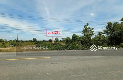 ขาย - ตำบล ลำคอหงษ์ อำเภอโนนสูง นครราชสีมา, นครราชสีมา