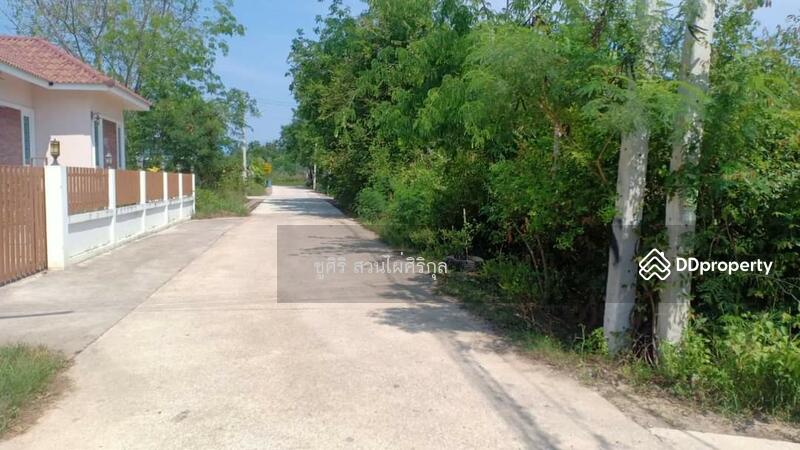 ขาย - 77120, ประจวบคีรีขันธ์