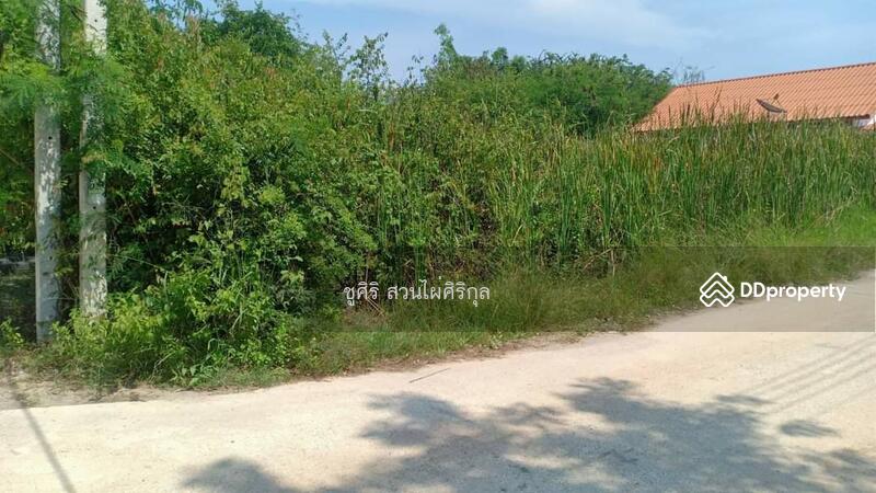 ขาย - 77120, ประจวบคีรีขันธ์
