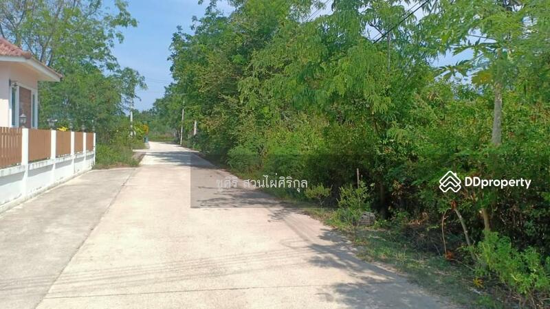 ขาย - 77120, ประจวบคีรีขันธ์