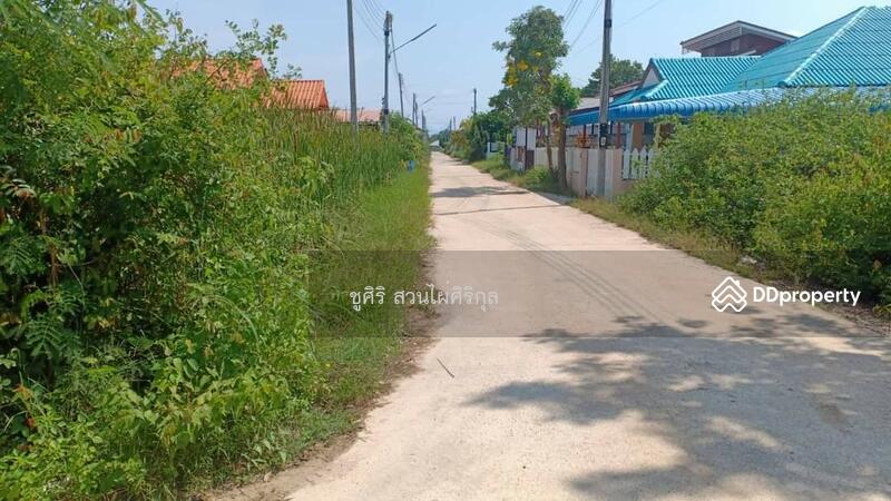 ขาย - 77120, ประจวบคีรีขันธ์