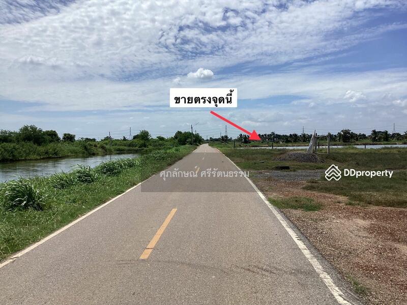ที่ดินใกล้วงแหวนตัดใหม่เลี่ยงเมืองฉะเชิงเทรา, ฉะเชิงเทรา, สัทธาภิรม, บางคล้า, ฉะเชิงเทรา, 1,600 ตร.ม., ที่ดิน ขาย, โดย ศุภลักษณ์ ศรีรัตนธรรม, 10246751 - DDproperty.com