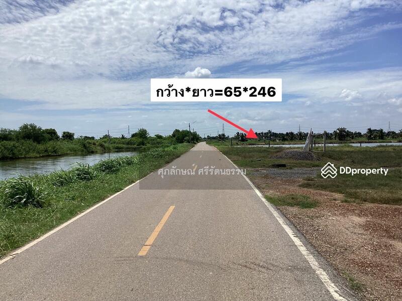 ที่ดินใกล้วงแหวนตัดใหม่เลี่ยงเมืองฉะเชิงเทรา, ฉะเชิงเทรา, สัทธาภิรม, บางคล้า, ฉะเชิงเทรา, 1,600 ตร.ม., ที่ดิน ขาย, โดย ศุภลักษณ์ ศรีรัตนธรรม, 10246751 - DDproperty.com