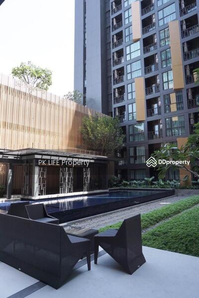 The Base Height Phuket, Phuket, 359 Soi Hongyok Utis Yaowarat Road, Talat Yai, Muang Phuket, Phuket, 1 Bedroom, 32 sqm, Condo For Rent, by PK LIFE Property, 10263178 - DDproperty.com